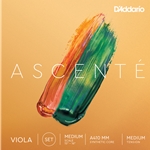 D'Addario Ascente Viola Set 15"-16"