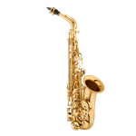 Eastman Bravo Alto Saxophone