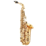 Saline Heritage Alto Saxophone Accessory Package