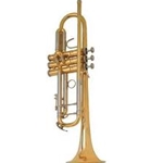 Saline Heritage Trumpet Accessory Package