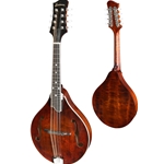 Eastman Mandolin A-Style