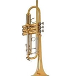 Troy Trumpet Accessory Package