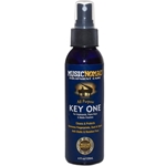 MusicNomad All Purpose Key ONE - For Keyboards, Piano Keys & Matte Finishes