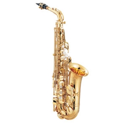 Walled Lake Alto Sax Package