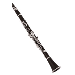 Walled Lake Clarinet Package