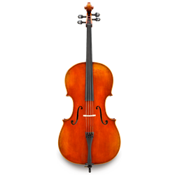 Eastman Frederich Wyss Cello