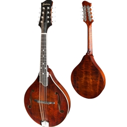 Eastman Mandolin A-Style