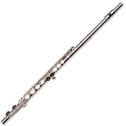 Troy Flute Accesssory Package