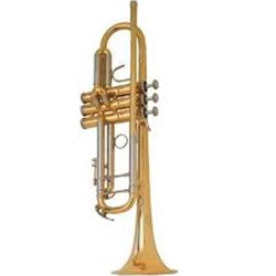 Troy Trumpet Accessory Package