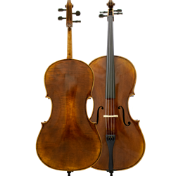 Augusta Menicci Verdi Cello w/Vector Series Case